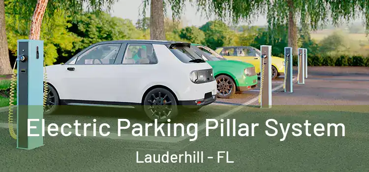  Electric Parking Pillar System Lauderhill - FL
