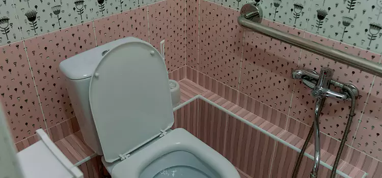 Meeting Diverse Needs With Accessible Restroom Solutions in Lauderhill, FL