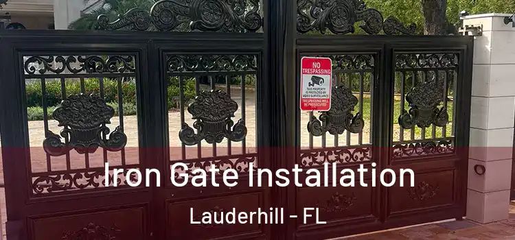 Iron Gate Installation Lauderhill - FL